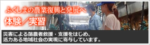 ふくしまの農業復興と発展へ　体験／実習　災害による酪農者救援・支援をはじめ、活力ある地域社会の実現に寄与しています。